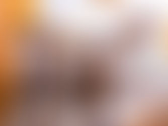 求人募集について