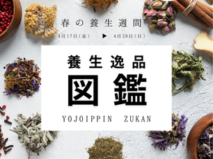 東洋一心堂の養生逸品