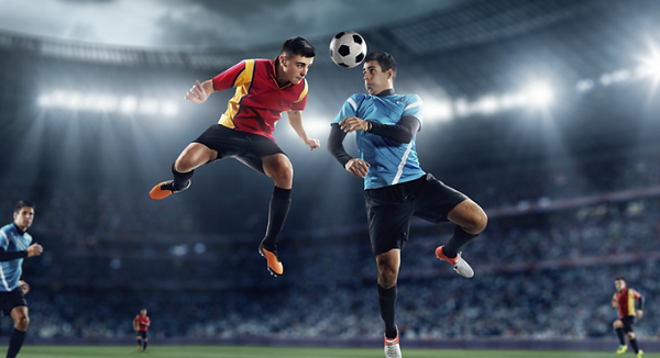 먹튀검증 먹튀사이트 토토사이트