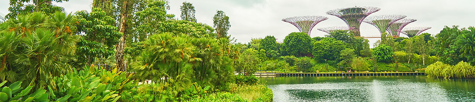 beautiful-botanical-landmark-modern-complex_TU_LR.jpg
