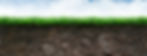 shutterstock_151776113_edited.jpg