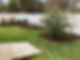 IMG_0467.jpeg