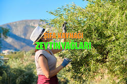 Yerelindenal-ana-sayfa-kayan-banner-02