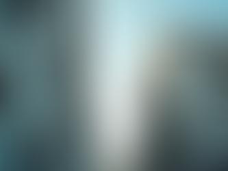 一般向けの不動産取引をサポートするカワモリ不動産