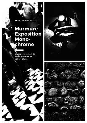 Photo Exposition Noir et Blanc Affiche jipartphoto jip art photo 