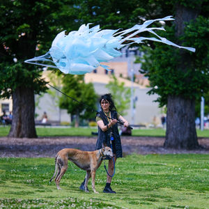 Shaping The Wind by Gloria Sulli