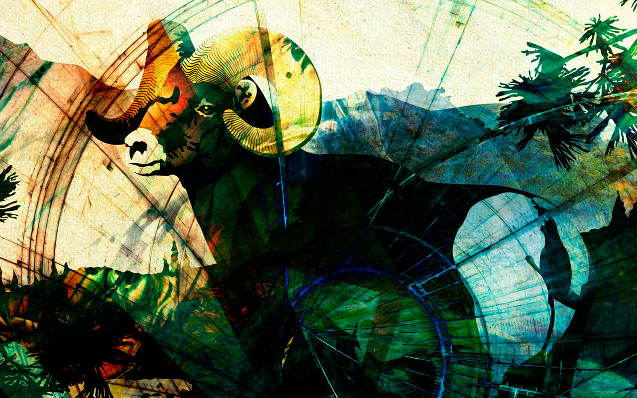 Cultura y arte