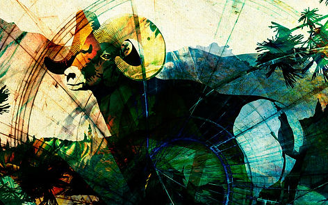 Aries