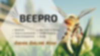 Banner 2 (1).png