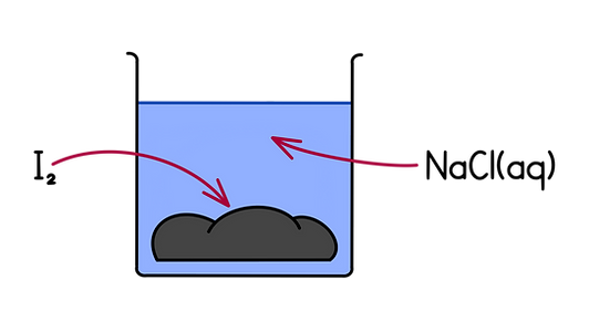 Revision Logo.png