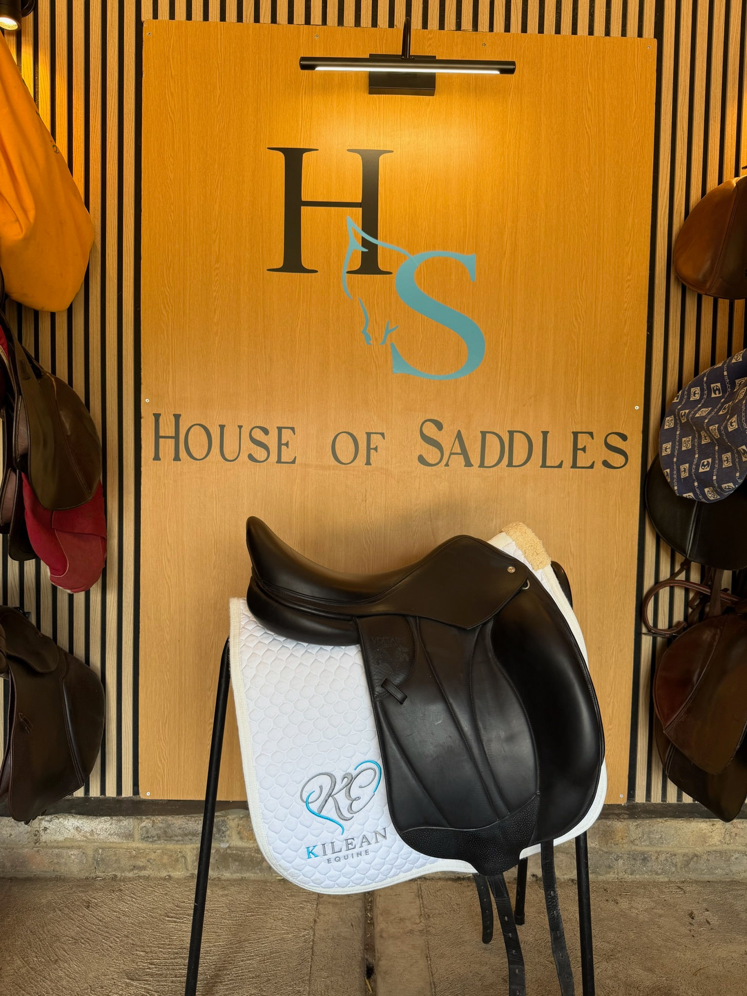 Voltaire adelaide dressage saddle 18"