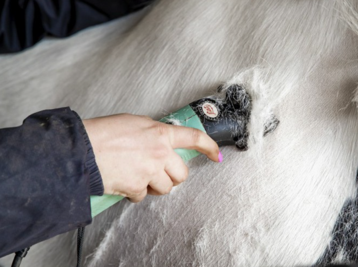 Lister STAR Clippers - WITH FREE LISTER BAG