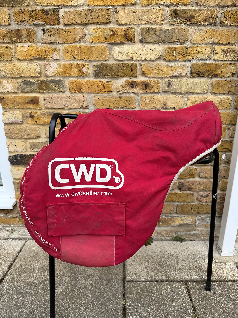 Thumbnail: CWD Classic 17.5" jump saddle