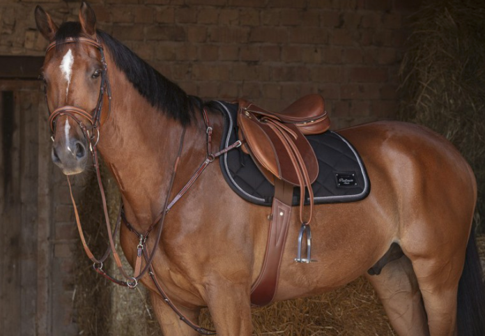 Thumbnail: EQUITHÈME "PLATINIUM BLACK” SADDLE CLOTH