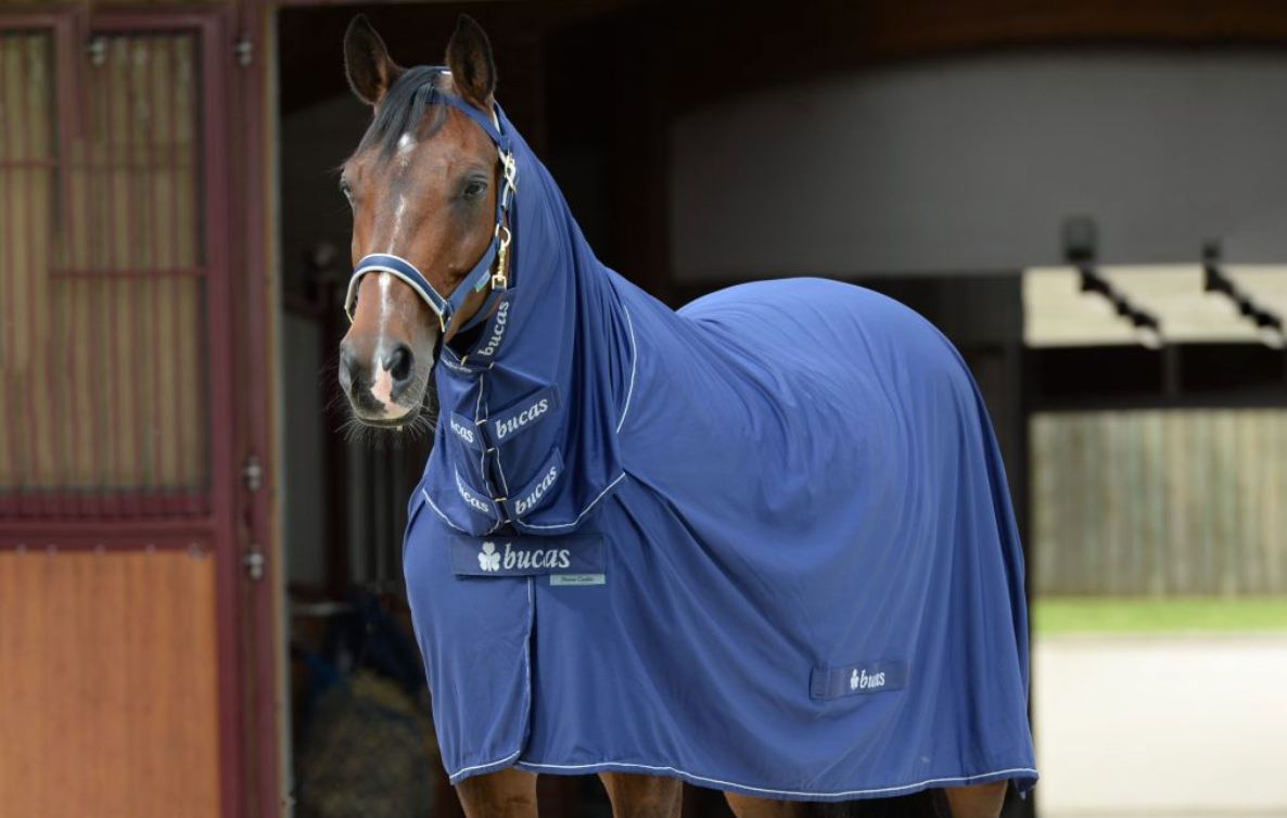 BUCAS POWER COOLER FULL NECK - 532