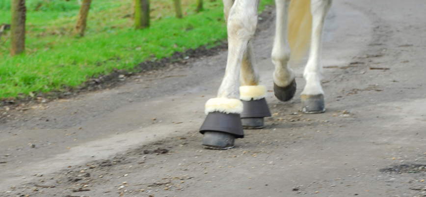 Thumbnail: Elite Sheepskin Leather Over-reach Boots