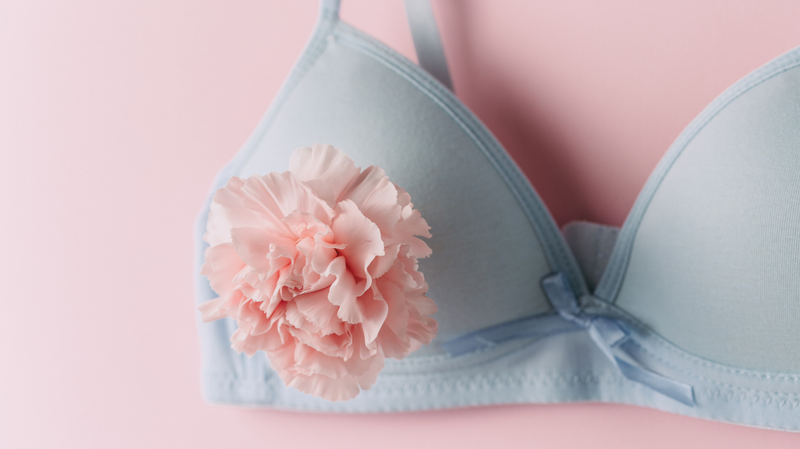 hellblauer BH mit rosa Nelke, Wechseljahre und Libido