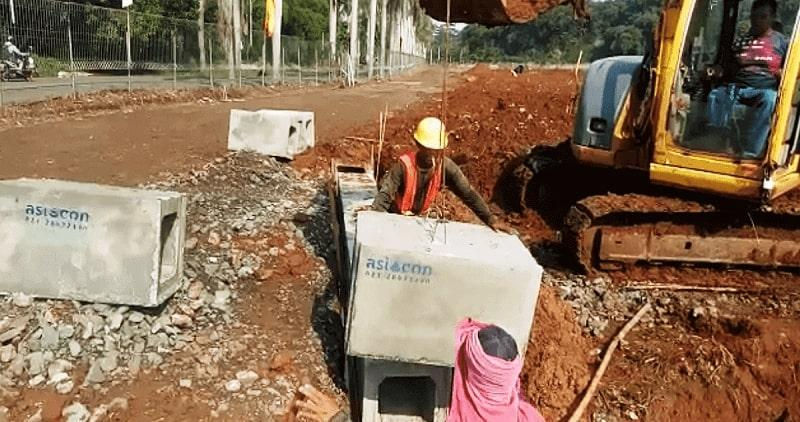 black-necked stilt, bird, animal-7518124.jpg