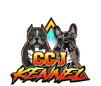 CCJ_Kennel_-1-removebg-preview.png