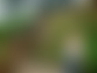 Entrevista da semana: Do outro lado do mundo