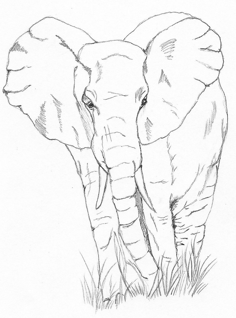 Thumbnail: Poppy on Safari – Children’s Dog Adventure Book