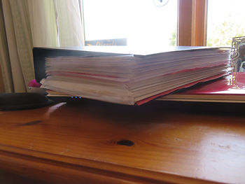 final manuscript for my second middle grade children's book