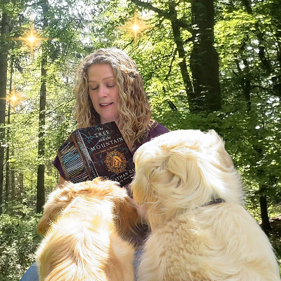 A woman reads "The Tree and the Mountain" to two dogs in a sunlit forest. Glowing stars hover, creating a magical, serene atmosphere.