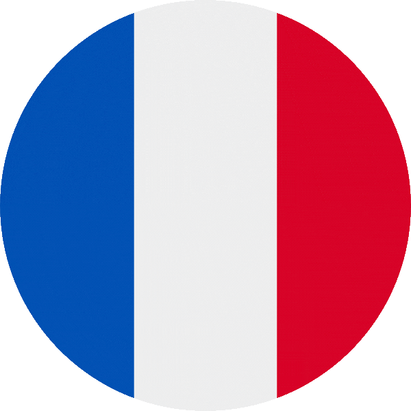 France visa services from think big global 