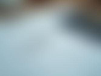 Maximize Your Visa Success with VisaCart's Expert Guidance and Unique Approach