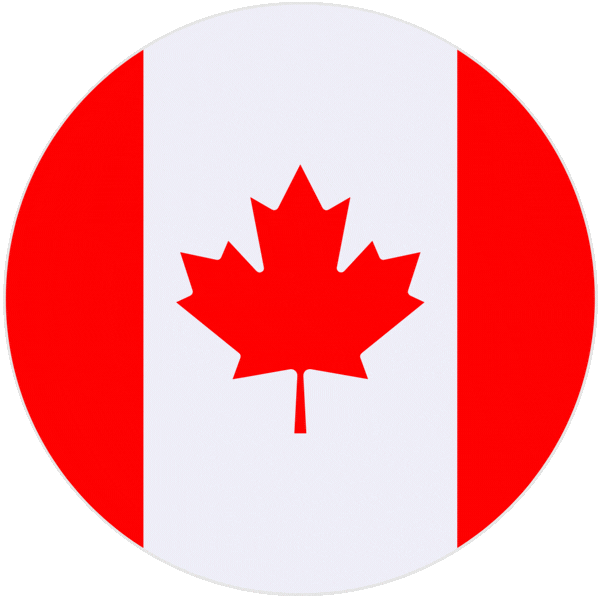 Canada visa services from think big global 