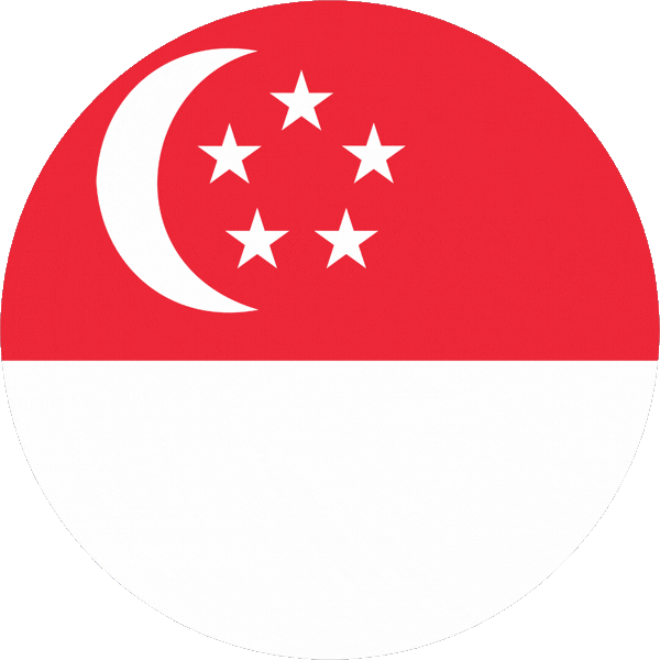 Singapore visa services from think big global 