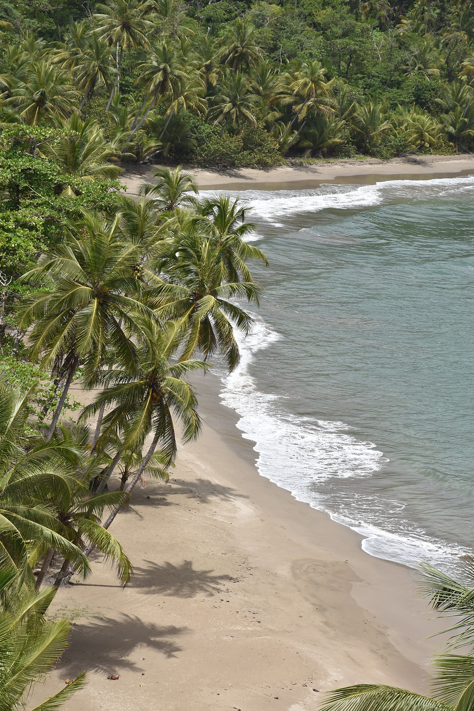 Batibou beach near Savanne Paille Holiday Homes Bed and Breakfast, Guest House, Portsmouth Dominica