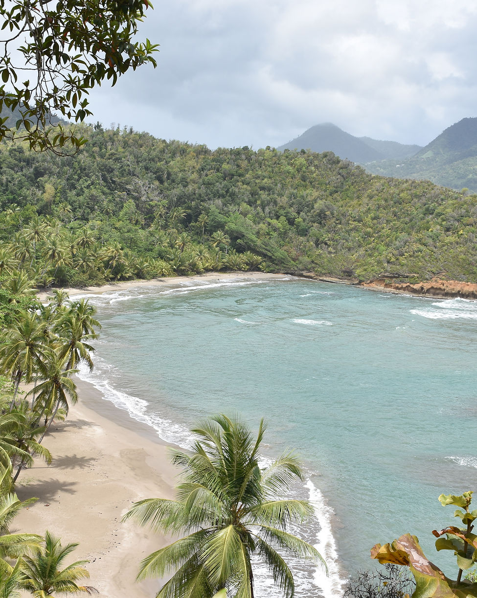 Batibou beach near Savanne Paille Holiday Homes Bed and Breakfast, Guest House, Portsmouth Dominica