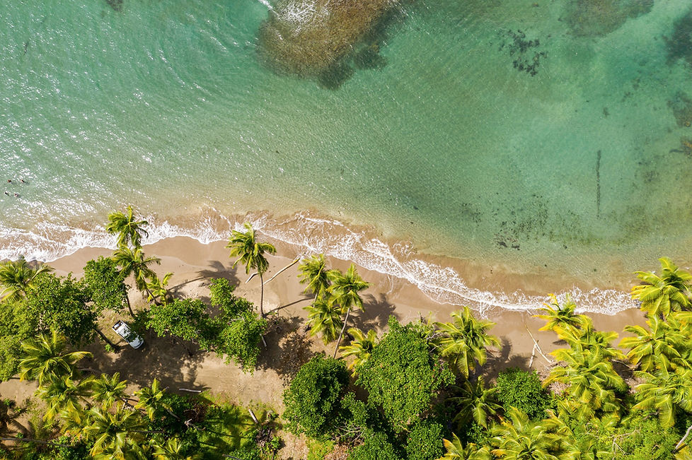 Beach near Savanne Paille Holiday Homes, Guest House in Dominica