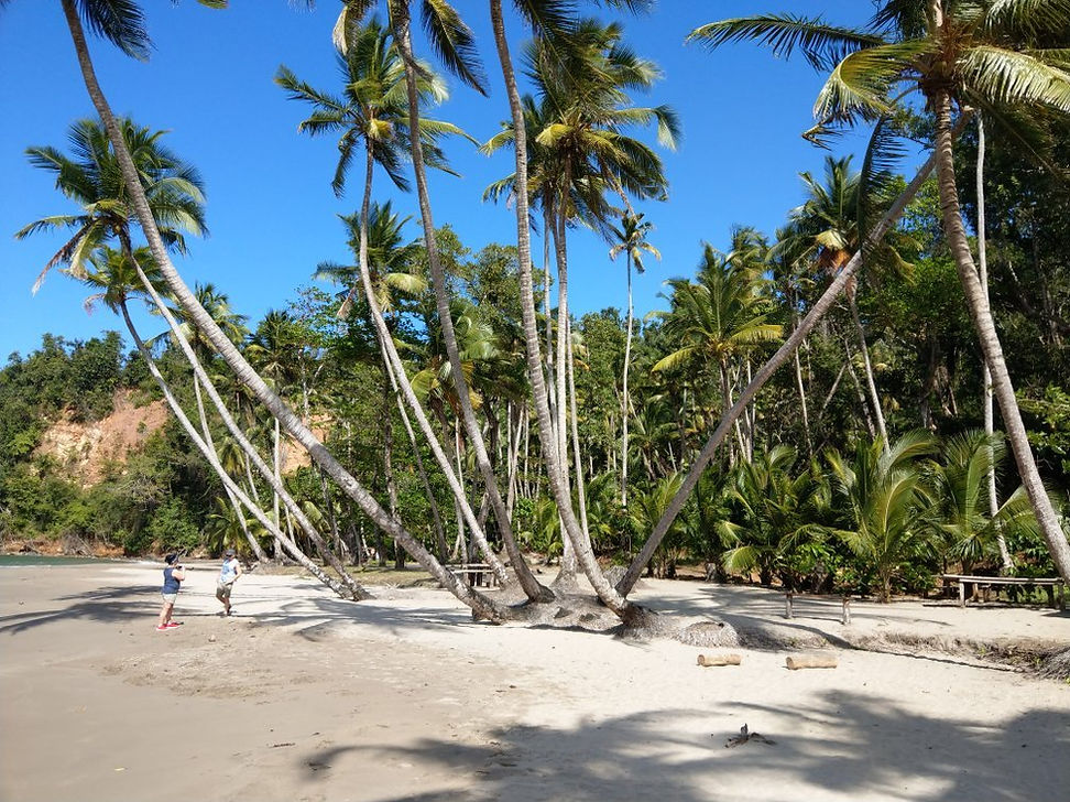 Batibou Beach, close Savanne Paille Holiday Homes, Bed and Breakfast near Portsmouth Dominica