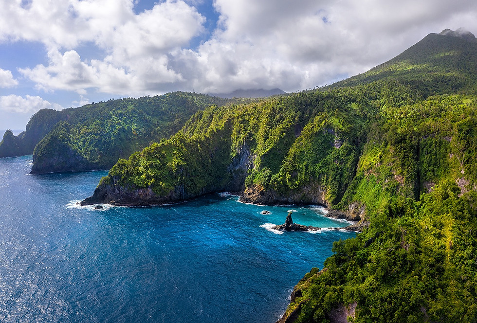 Coast on the way from Savanne Paille Holiday Homes, Holiday Rental in Dominica