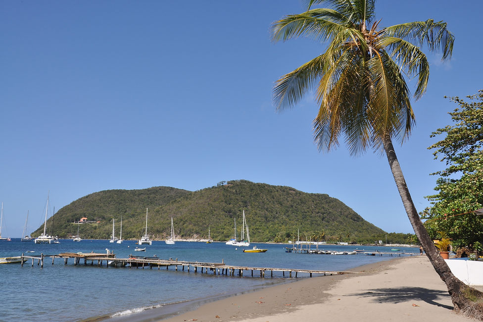 Purple Turtle Beach by Savanne Paille Holiday Homes, Accommodation in Dominica