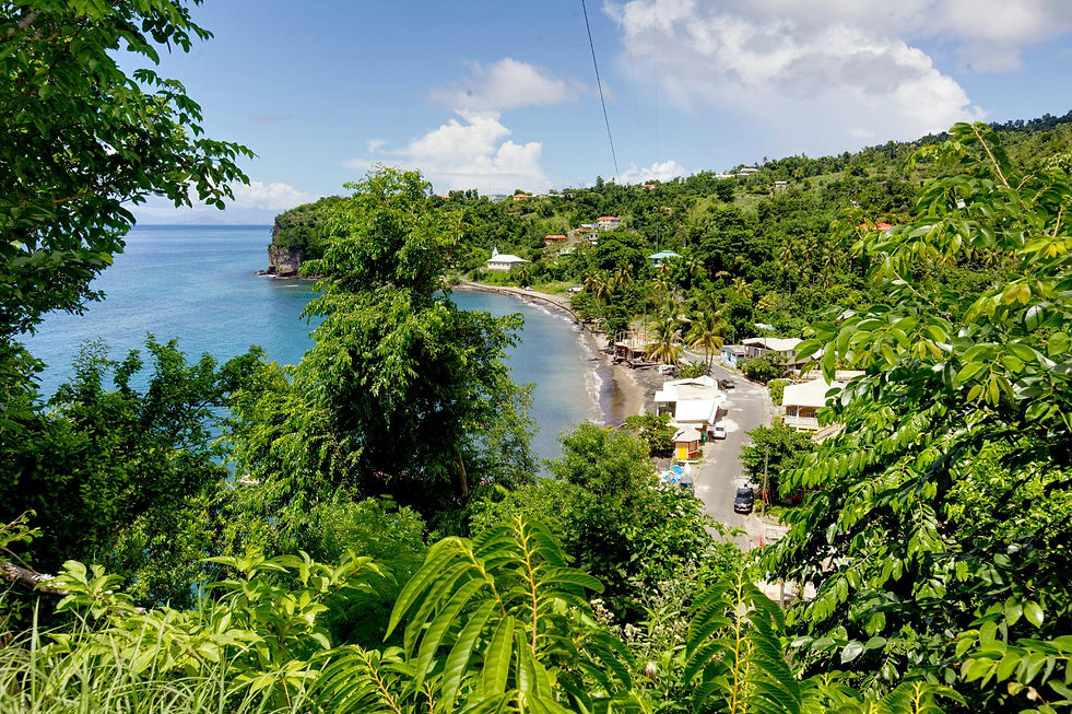 Toucari. next to Savanne Paille Holiday Homes, Accommodation near Portsmouth in Dominica