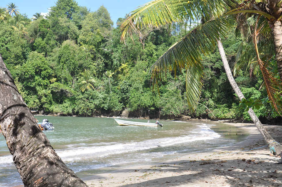 Anse de Mai, on the way from Savanne Paille Holiday Homes, Villa Rental Dominica