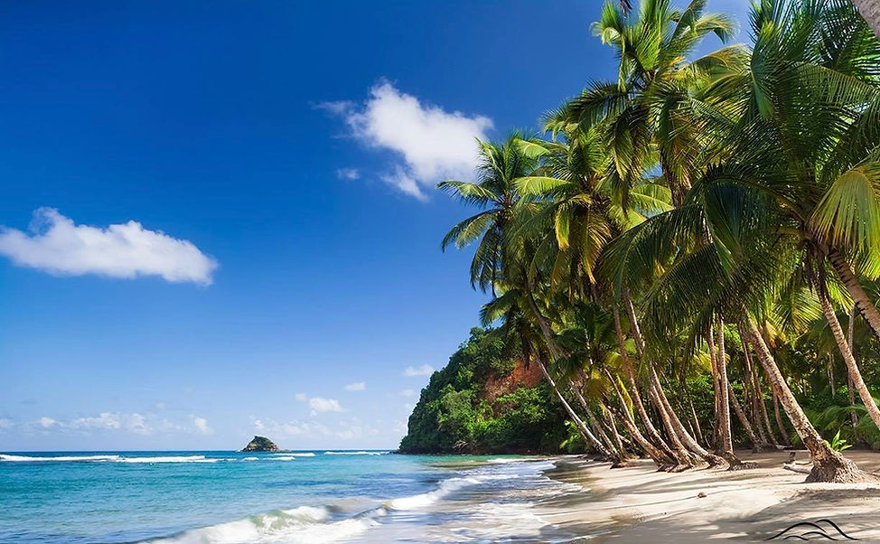 Batibou beach close to Savanne Paille Holiday Homes, House Rental in Dominica