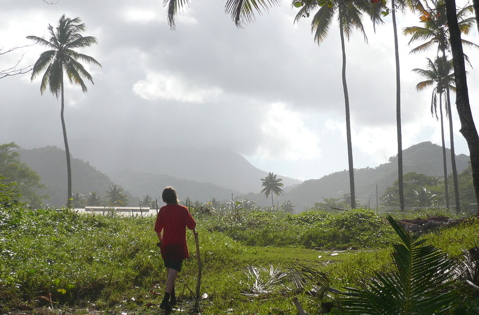 interior, near Savanne Paille Holiday Homes, Holiday House Rental in Dominica