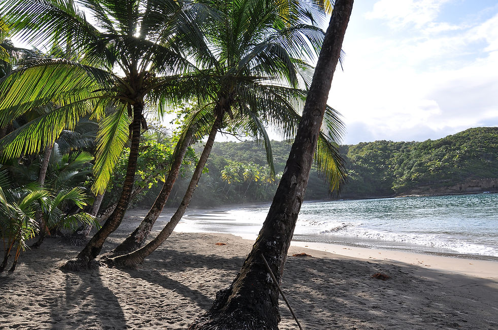 Batibou Beach, near Savanne Paille Holiday Homes, Chambres D'Hotes near Portsmouth Dominica