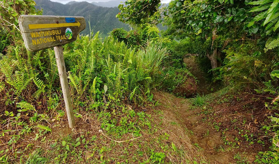 Waitukubuli trail on way to Savanne Paille Holiday Homes, Guest House in Dominica