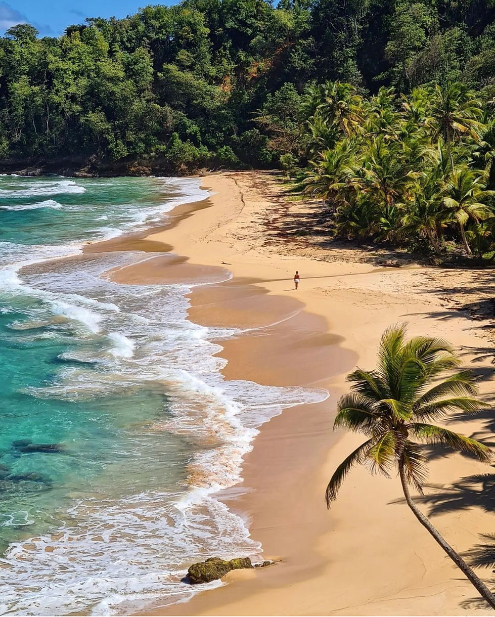 Batibou Beach on the way from Saavanne Paille Holiday homes Guest House Portsmouth Dominica