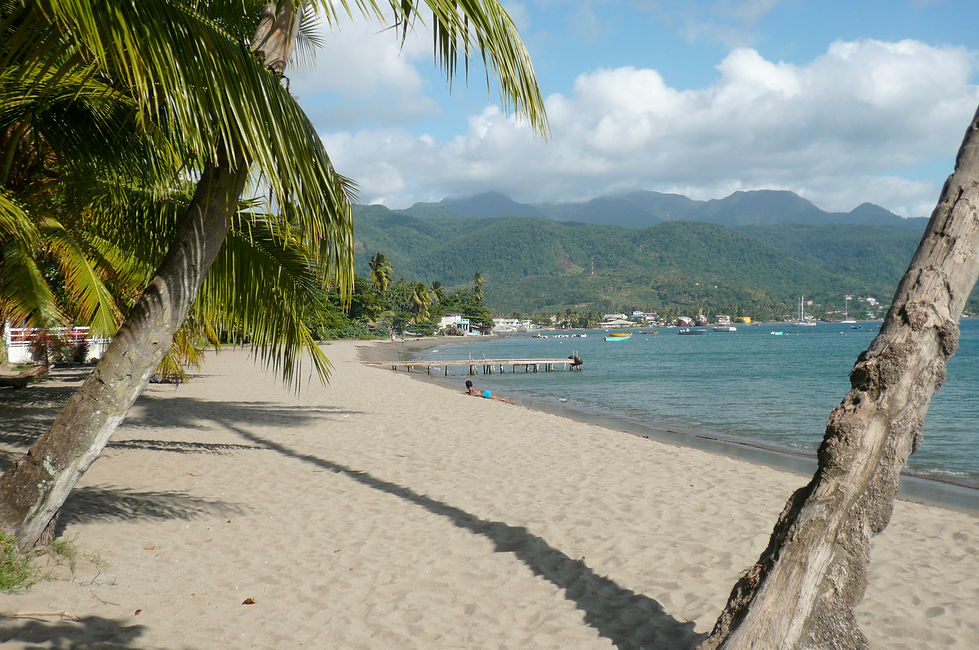 Purple Turtle Beach near Savanne Paille Holiday Homes, Chambres D'Hotes in Dominica