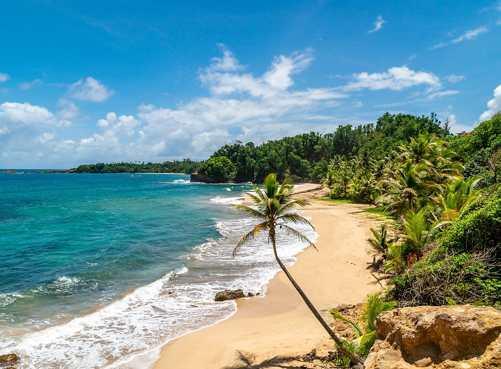 Beach Dominica, on the way from Savanne Paille Holiday Homes, Vacation Home Rental in Dominica