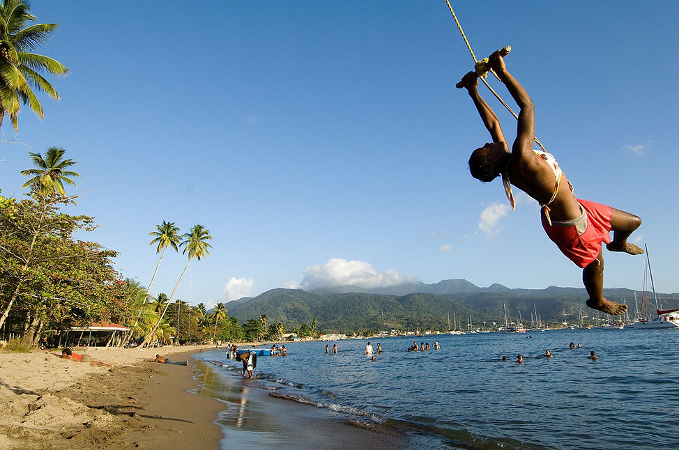 Purple Turtle Beach next to Savanne Paille Holiday Homes, House Rental in Dominica