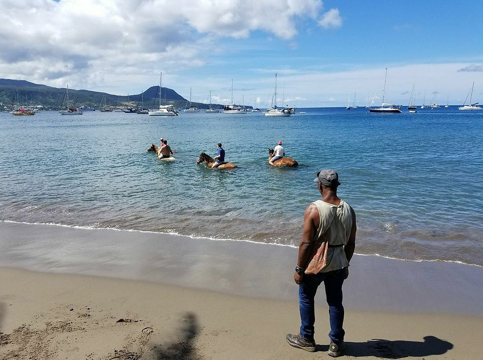 Beach Portsmouth, near Savanne Paille Holiday Homes, Plantation House Rental in Dominica