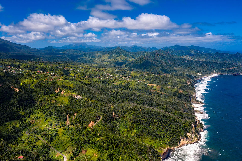 Dominica from air east coast, on way to Savanne Paille Holiday Homes, Holiday Rental Dominica