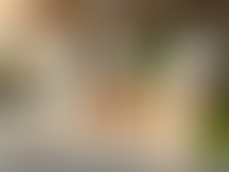 Boost Your Brand's Sales with Wellness Affiliate Marketing